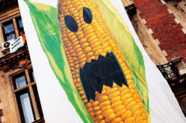 GMO - decydujące starcie