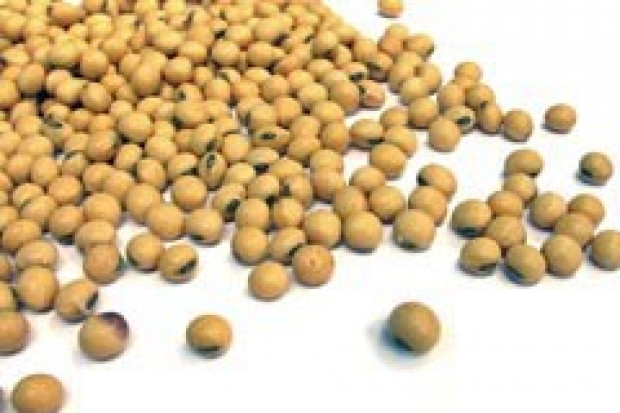 Na polskim rynku jest żywność z GMO