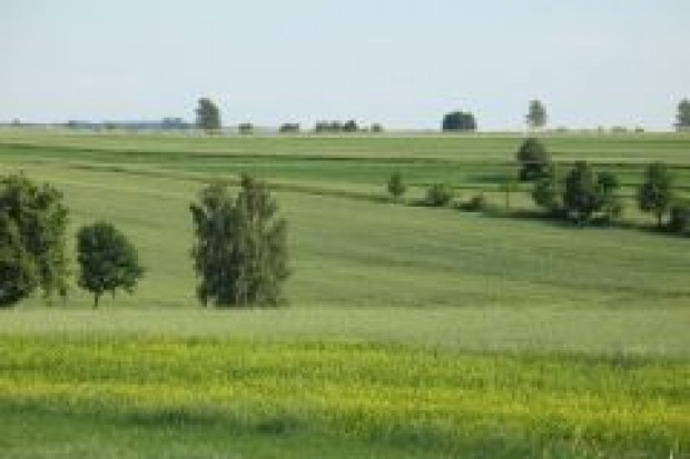 Rolnicy wydali w 2007 r. na pasze i nawozy prawie 10 mld zł