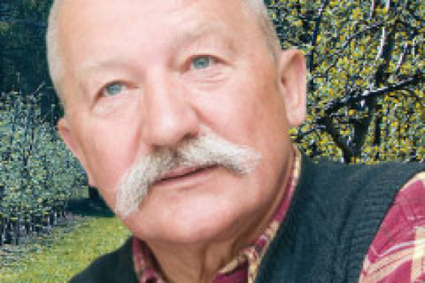 Władza ma nie przeszkadzać