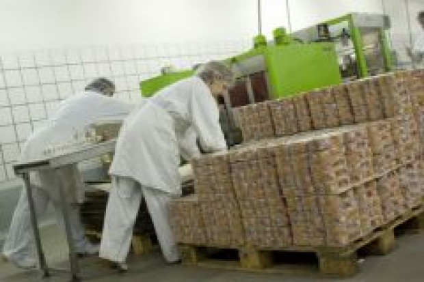 W Polsce brakuje już ponad miliona pracowników. Pracownicy-emigranci nie chcą wracać do Polski