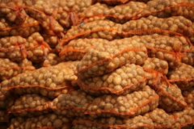 Ziemniaki mogą być przetwarzane na biopaliwo