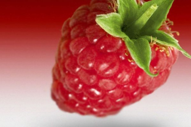 fot. soki.hortex.com.pl Comarch wdroży zintegrowaną platformę ECOD Dystrybucja w firmie Hortex