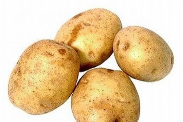 SIE: Zupełny brak monitoringu żywności GMO, Polacy nie wiedzą co jedzą!
