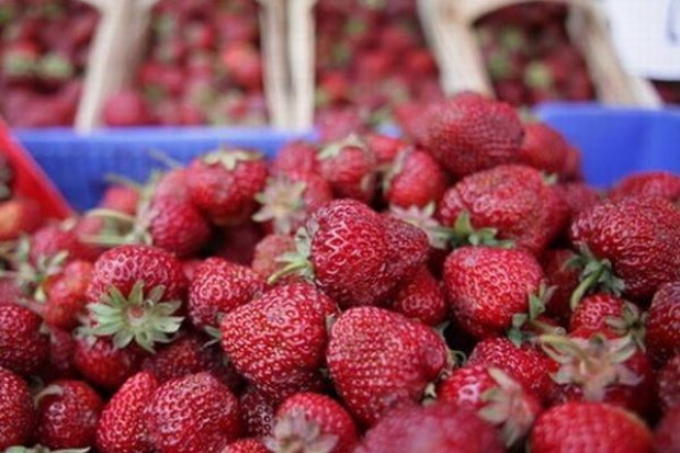 Produkcja truskawek: Tegoroczne ceny pozostają wielką niewiadomą