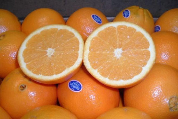 fot. Multi Fruit USA Inc. Amerykański dystrybutor warzyw i owoców wkrótce wejdzie na polski rynek