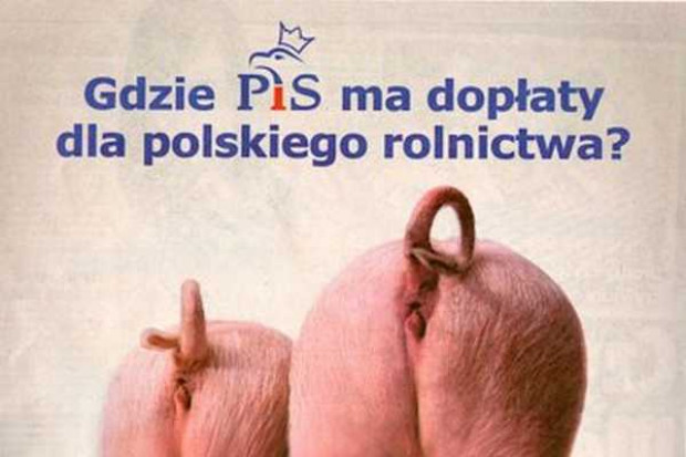 Źródło zdjęcia: Ogłoszenie w Super Expressie Prezes PiS: PO obraża polską wieś. To sprowadzanie kampanii do poziomu chlewu