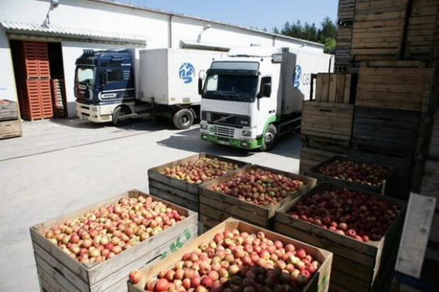 Do przetwórstwa trafi znacznie mniej jabłek niż w 2008 r.