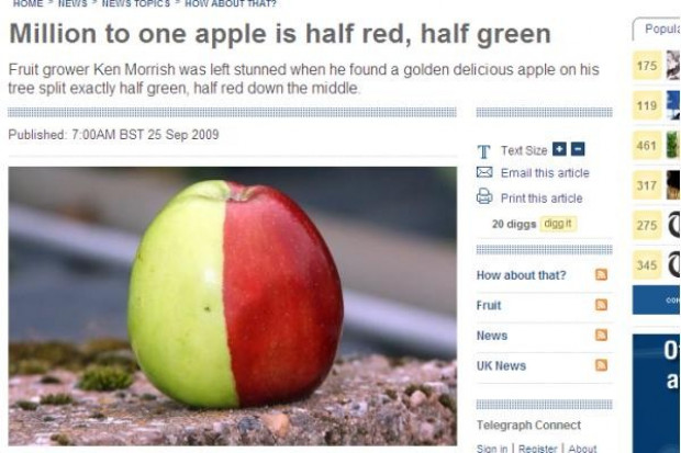 telegraph.co.uk W Wielkiej Brytanii znaleziono wyjątkowe jabłko