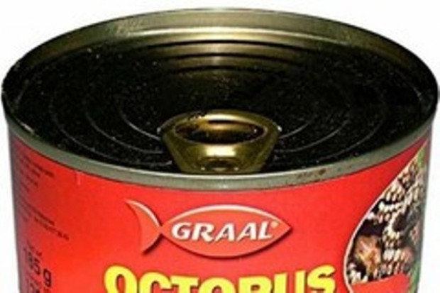 Graal cały rok zakończy niewielkim zyskiem