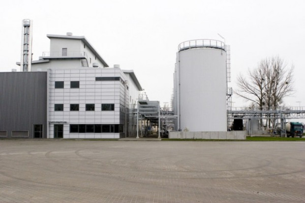 Elstar Oils liczy na dalszą poprawę wyników w 2010 roku