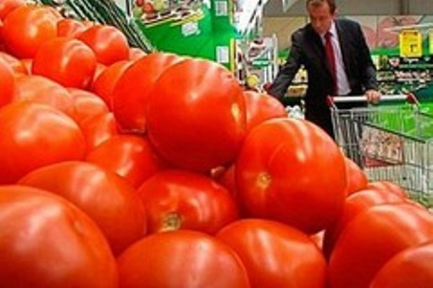 Tegoroczne zbiory pomidorów przemysłowych będą rekordowe