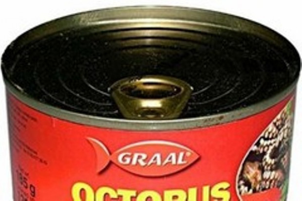 Akcje Graala drożeją, zarząd spółki liczy na więcej