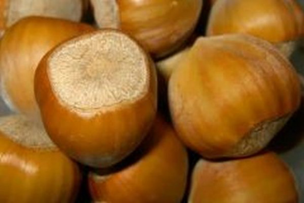 Helio urozmaici ofertę produktów