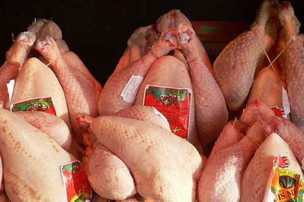 Drób z UE droższy niż produkty z Ameryki Południowej i USA