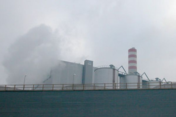 Rząd zgodził się na spalanie zbóż w elektrowniach