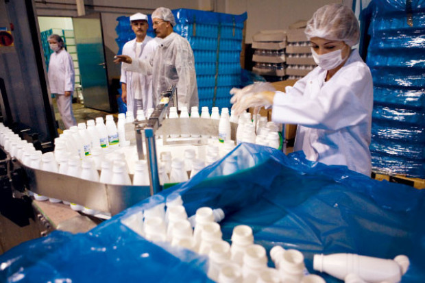 W tym sezonie polscy rolnicy będą mogli wyprodukować 9 mld 760 mln kg mleka