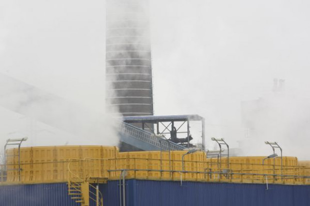 Rośnie sprzedaż zbóż na cele energetyczne