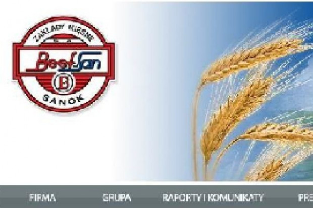 ZM Beef San chcą świadczyć usługi pośrednictwa kredytowego, szybkiej pożyczki, a nawet windykacji