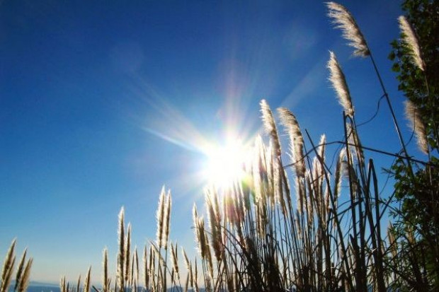 Kwasy tłuszczowe omega-3 i nie tylko, czyli dlaczego etykieta ma znaczenie