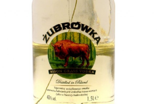 Żubrówka Biała trafi do sprzedaży 15 listopada. Cena 0,5 l butelki to 18 zł