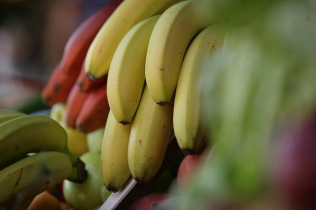 W Afryce nie warto spacerować z bananem w ręku