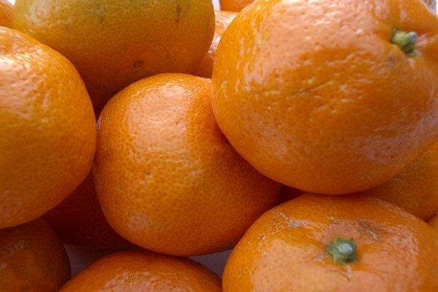 Kilogram mandarynek na rynkach hurtowych kosztuje od 2,10 zł do 5,80 zł/kg. Analiza portalu: Zróżnicowane ceny mandarynek na rynkach hurtowych