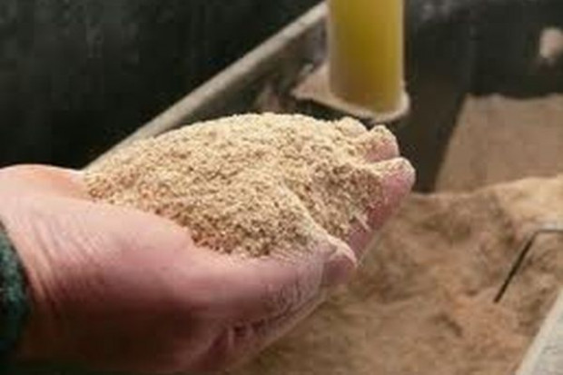 Wzrost popytu na pasze treściwe wynika ze zwiększonej produkcji drobiu i odbudowy pogłowia trzody Rośnie zapotrzebowanie na pasze, spada ich produkcja