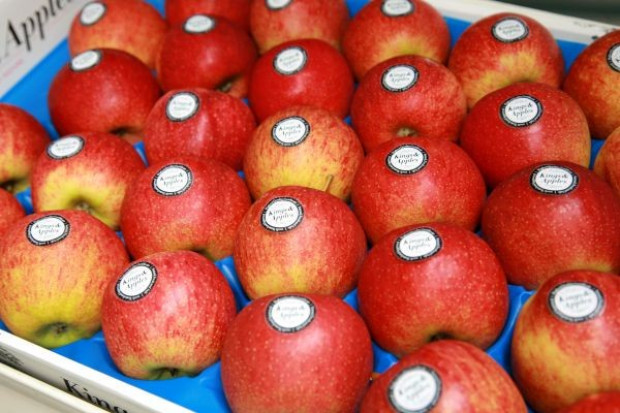 Promocja krajowych jabłek deserowych Kings and Apples zostanie przedłużona?