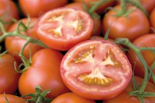 Prezes Grupy Producentów Warzyw Szklarniowych Vegapol z Janowa na Mazowszu podkreśla, że skutki blokady były najbardziej dotkliwe w czerwcu gdy z firmy miało być wysyłanych na wschód około 250 ton pomidorów tygodniowo Milionowe straty polskich producentów warzyw. Może być jeszcze gorzej?!