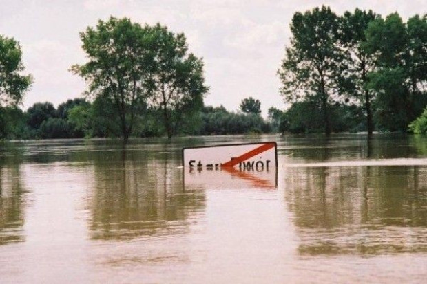 PJN chce zmienić rolnicze ubezpieczenia od klęsk żywiołowych