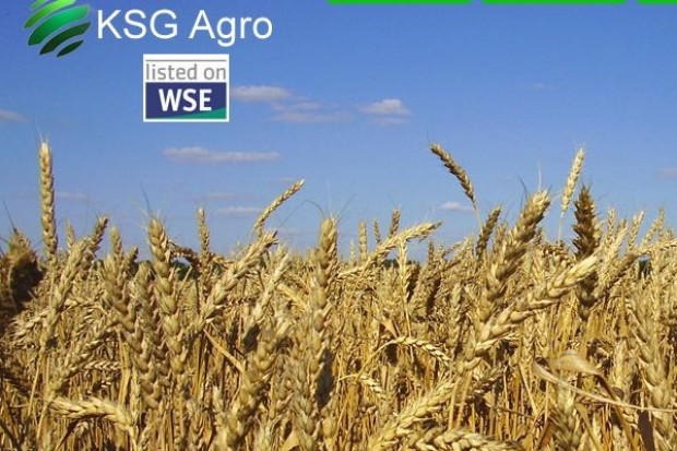 Ukraiński KSG Agro wchodzi na rynek polski