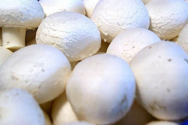 Polska to największy producent pieczarek w Unii Europejskiej