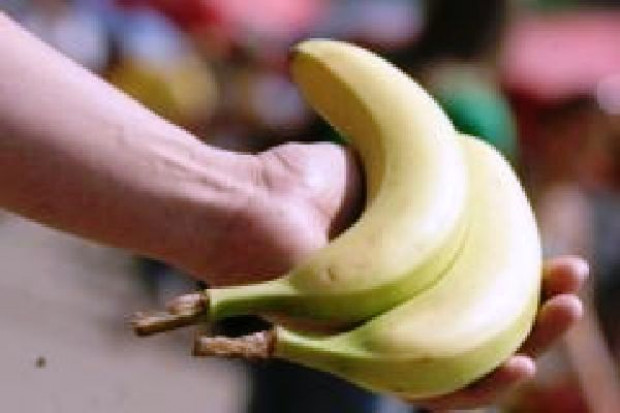 Citronex postawi k. Strykowa dojrzewalnię bananów i budynek biurowy Citronex może wydać ok. 3 mln zł na zakup gruntu pod dojrzewalnię bananów k. Strykowa