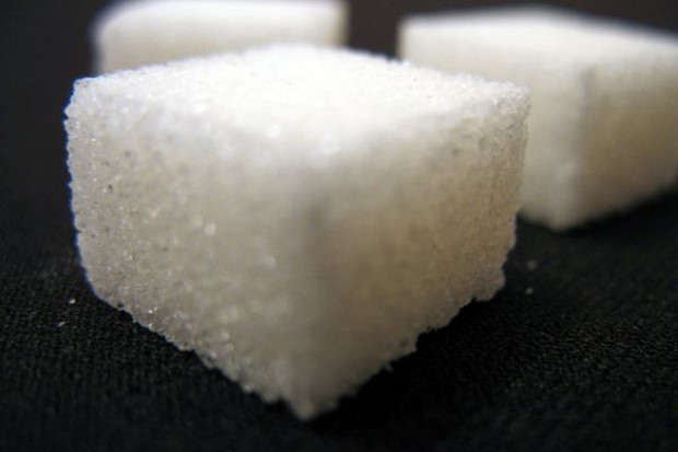 Przyczynami wzrostu cen są głównie droga ropa i słaby dolar Styczeń przyniósł podwyżkę giełdowych notowań cukru