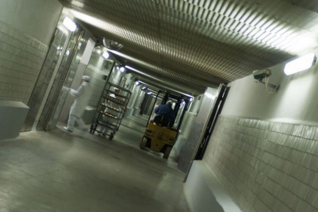 Prezes Impel Food Hygiene: Proces czyszczenia zakładów spożywczych należy zostawić profesjonalistom