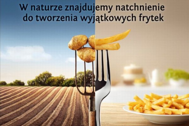 McCain rozpoczyna nową kampanię promocyjną