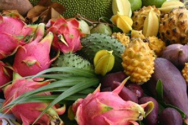 Fot. za australiantropicalfoods.com Raport FAO: Światowa produkcja owoców tropikalnych rośnie ok. 1,7 proc. rocznie