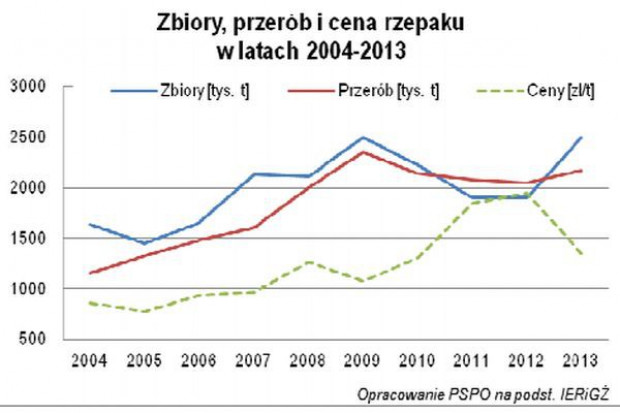 Produkcyjny sukces producentów rzepaku