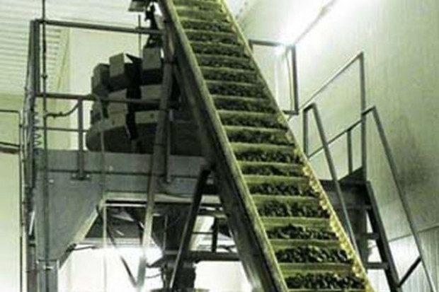 fot. ZPOW Ziębice Top Farms Food może przejąć ZPOW Ziębice. Jest już zgoda UOKiKu