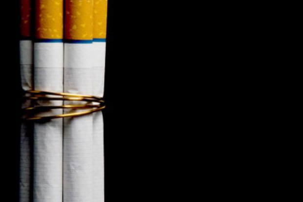 Fot. Fotolia PIMG: Dyrektywa tytoniowa osłabi polski eksport w segmencie rolnym