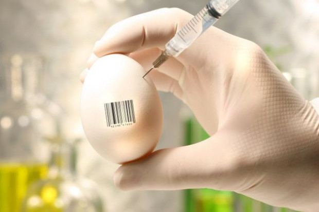 (fot. Fotolia) Prezes INSPRO: W przypadku żywności GMO konsumenci powinni mieć możliwość wyboru