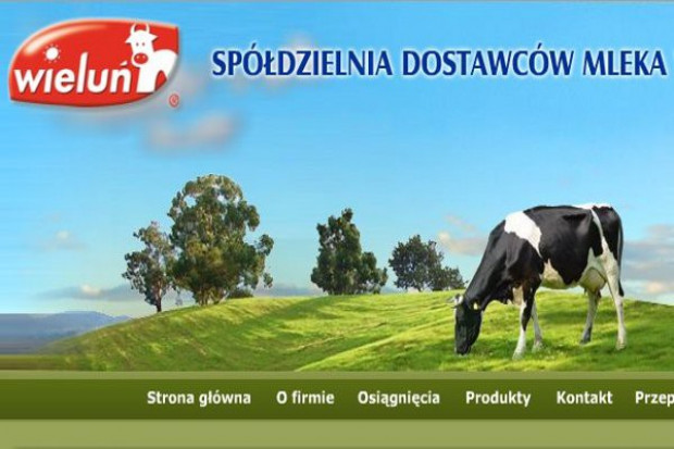 SDM Wieluń inwestuje w ochronę środowiska