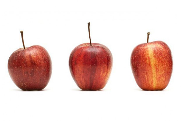 (fot. Fotolia)