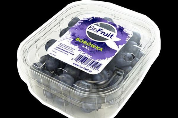 fot. Grupa Producentów Owoców "Polskie Jagody" Grupa producencka Polskie Jagody inwestuje w markę borówek BeFruit