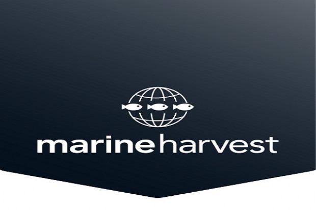 Fot. Marine Harvest Rekordowe dochody operacyjne Marine Harvest