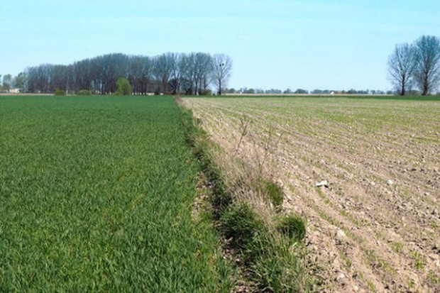 fot. Farmer ANR: Ceny gruntów rolnych wzrosły o 17 proc. w 2014 r.