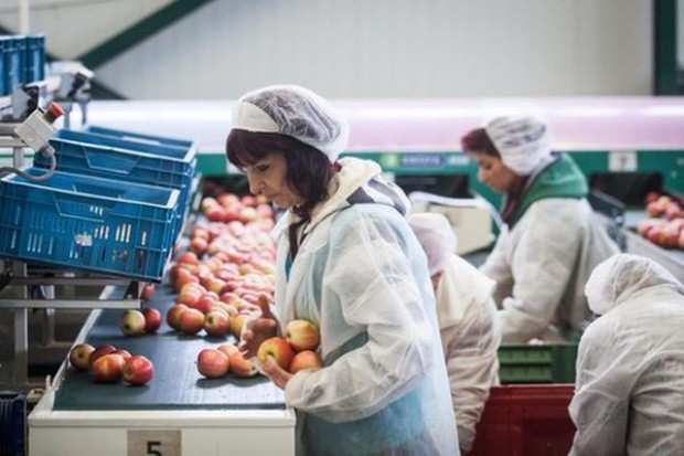 fot. za Farmer.pl Rzecznik Kremla: Możemy uchylić embargo, jeśli zachodnie firmy wybudują u nas fabryki