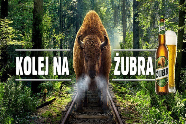Żubr rusza z kampanią promocyjną
