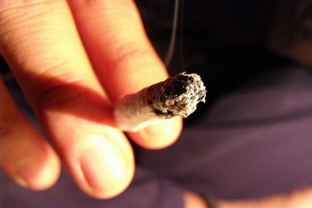 Legalizacja marihuany zaszkodziła ich interesom karteli narkotykowych